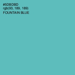 #5DBDBD - Fountain Blue Color Image